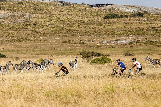 Safari Cycle and !Khwa ttu San Heritage Experience - Practical Considerations