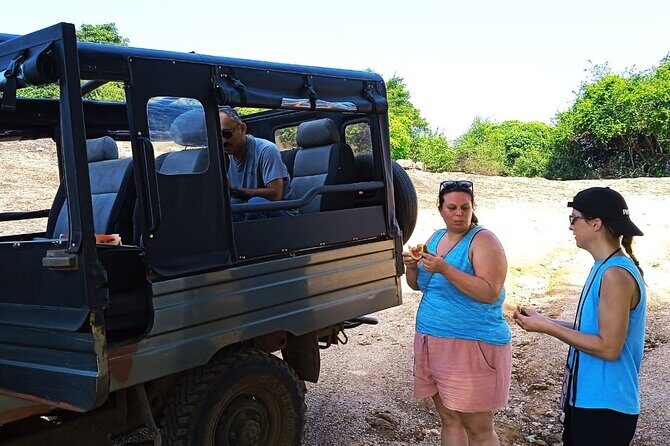 Safari Day Tour to Sigiriya Lion Rock and Golden Cave Temple - Who Should Consider This Tour?