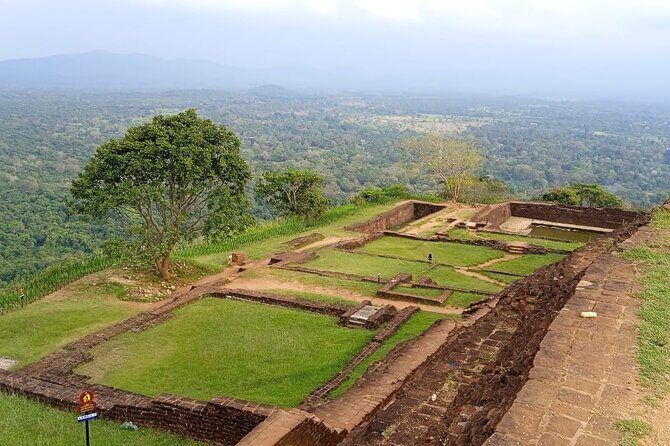Safari Day Tour to Sigiriya Lion Rock and Golden Cave Temple - The Sum Up