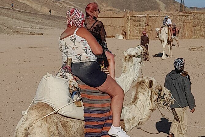 Safari Dessert tour in Hurghada - Diving Into the Itinerary: What to Expect