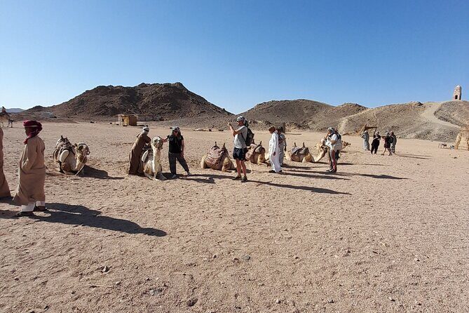 Safari Dessert tour in Hurghada - Final Thoughts: Who Will Love This Tour?