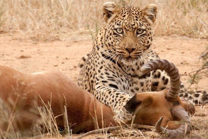 Safari Excelente y Safari lujos Tanzania - Day 2: Tarangire National Park – The Hidden Gem