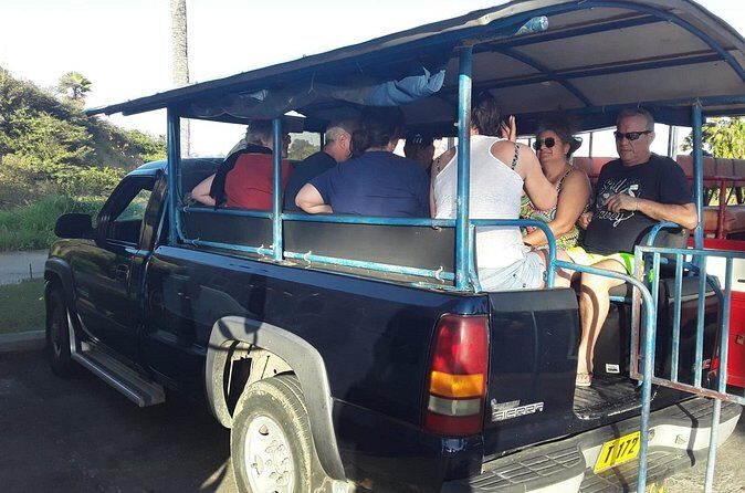 Safari Extravaganza - A Deep Dive into the Itinerary