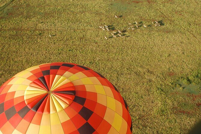Safari Flight - A Deep Dive into the Experience