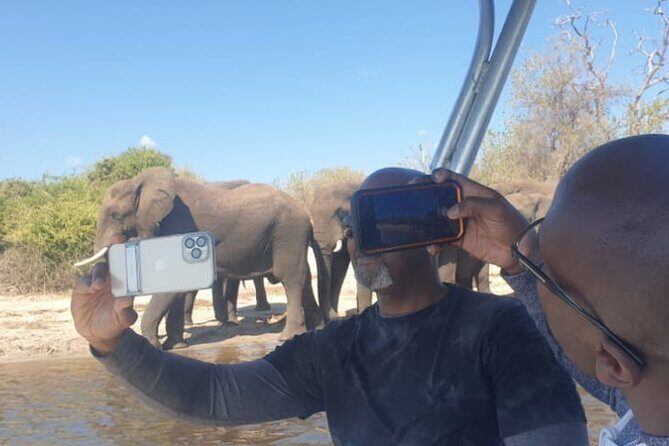Safari Game Drive in Zambezi National Park - The Itinerary: What to Expect