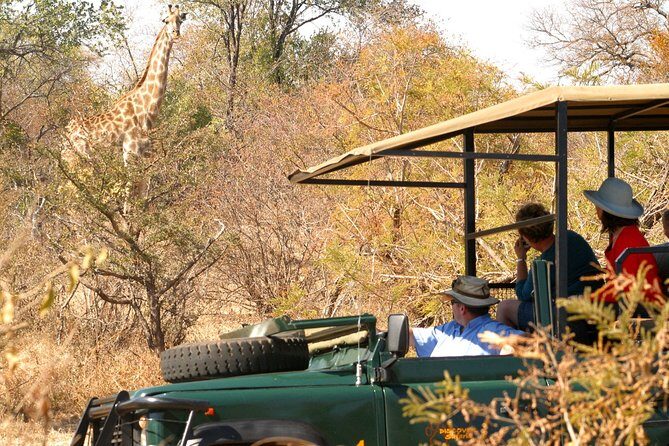 Safari Game Drive in Zambezi National Park with Hotel Pickup - The Sum Up: Who Will Love This Safari?