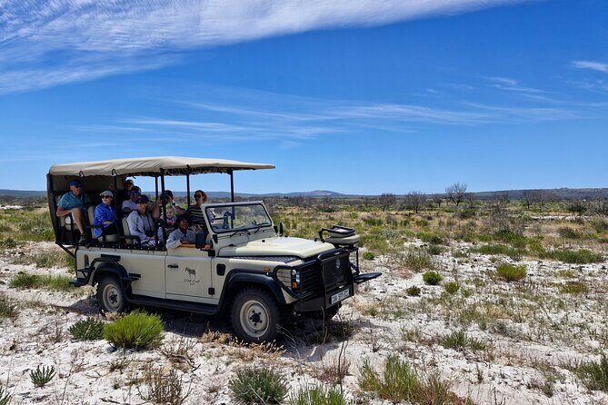 Safari Game Drive - Yzerfontein - An Authentic Wildlife Experience Close to Cape Town