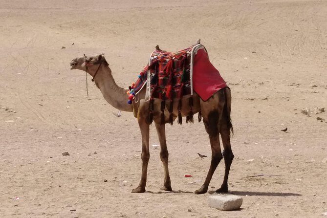 Safari Hurghada - Desert Safari Hurghada Egypt - Practical Tips and Considerations