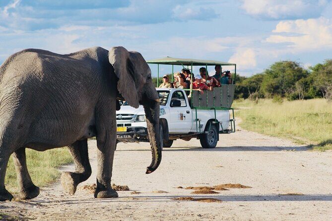 Safari in Etosha national park with professional tour guides born in Etosha. - Key Points