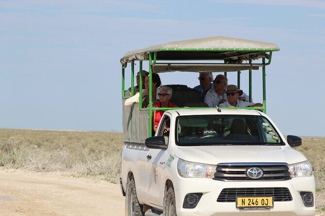Safari in Etosha national park with professional tour guides born in Etosha. - A Closer Look at the Safari Experience