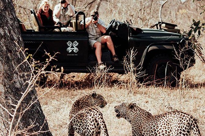 Safari In Jhalana Leopard Conservation Reserve, Jaipur - Who Will Enjoy This Safari?
