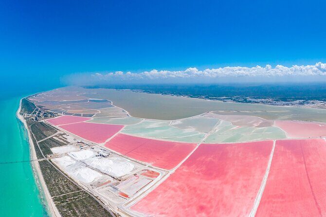 Safari in Rio Lagartos, Coloradas and Mayan Bath - A Deep Dive into the Rio Lagartos, Coloradas, and Mayan Bath Tour