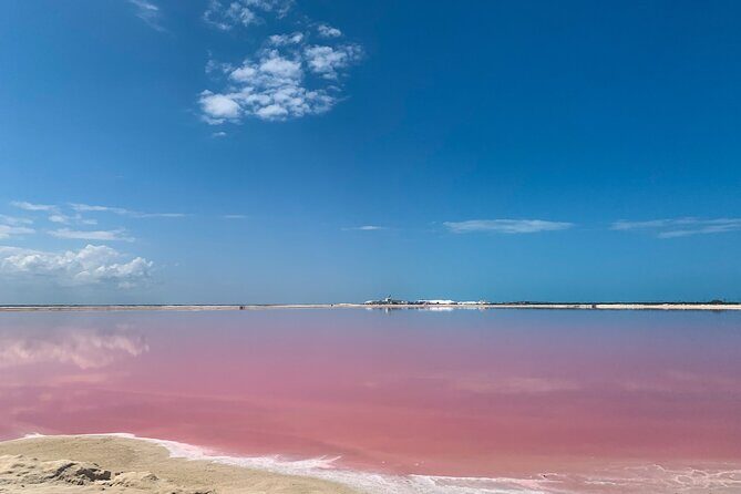 Safari in Rio Lagartos, Coloradas and Mayan Bath - Authentic Reviews: Voices from Past Travelers
