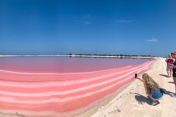 Safari in Rio Lagartos, Coloradas and Mayan Bath - Key Points