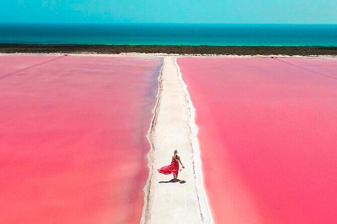 Safari in Rio Lagartos, Coloradas and Mayan Bath - FAQ: Questions and Answers