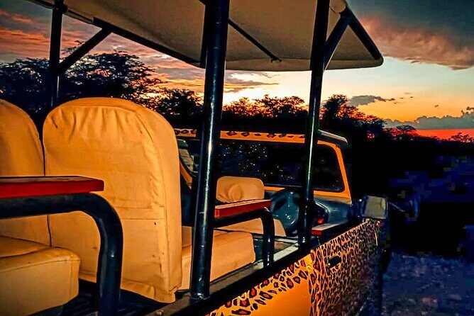 Safari in Victoria Falls and Zambezi National Park - Introduction