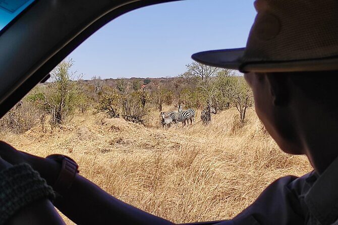Safari in Victoria Falls and Zambezi National Park - What To Expect in Terms of Value