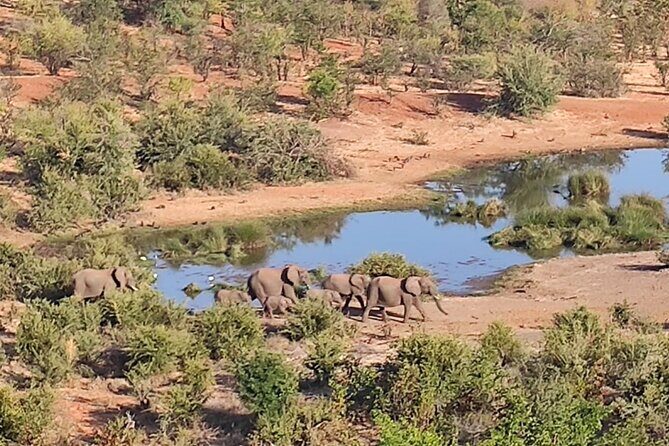 Safari in Victoria Falls and Zambezi National Park - Practical Details