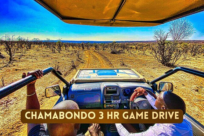 Safari in Victoria Falls and Zambezi National Park - The Sum Up