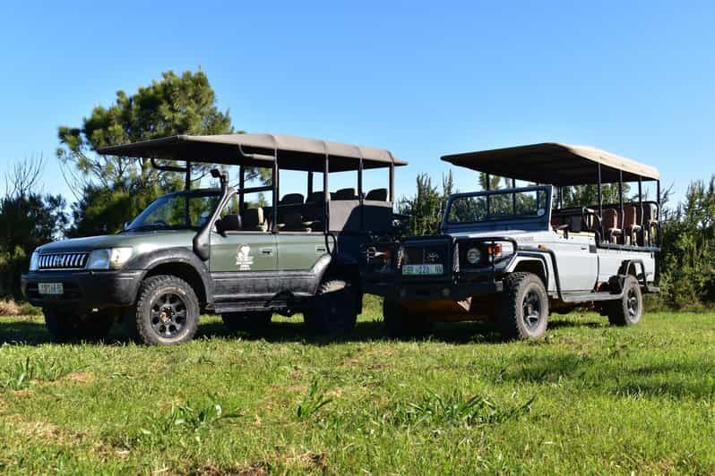 Safari into Schotia Full Day Tour - An In-Depth Look at the Schotia Full Day Experience