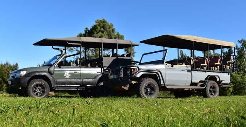 Safari into Schotia Half Day Tour - Key Points