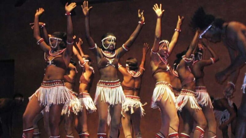 Safari Park Hotel Dinner and Cat Dance Experience - Key Points