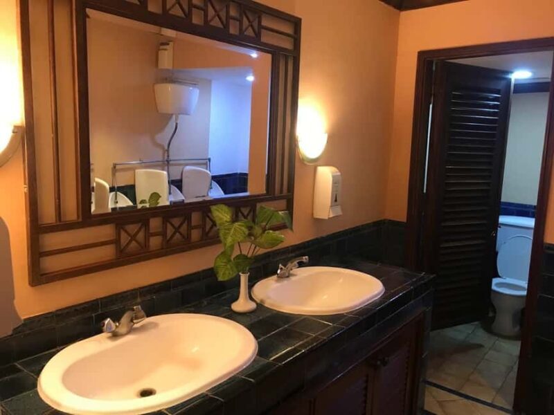 Safari Park Hotel Dinner and Cat Dance Experience - Final Thoughts