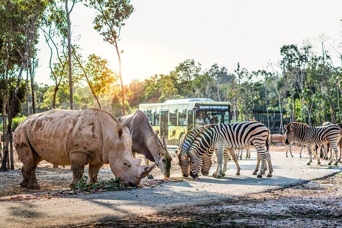 Safari Phu Quoc Ticket With Roundtrip Transfer - What is the Safari Phu Quoc Experience?
