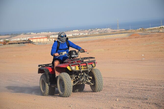 Safari Quad Bike Adventure, Camel, Show, Dinner & Stargazing - Key Points