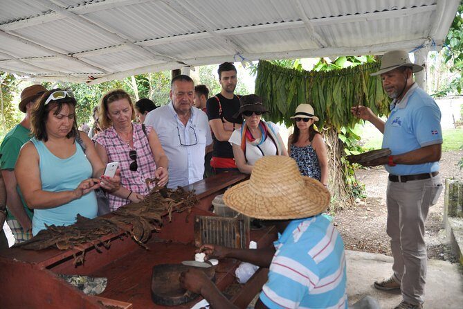 Safari Supreme Full Day Outdoor Adventure Punta Cana - A Detailed Look at the Adventure