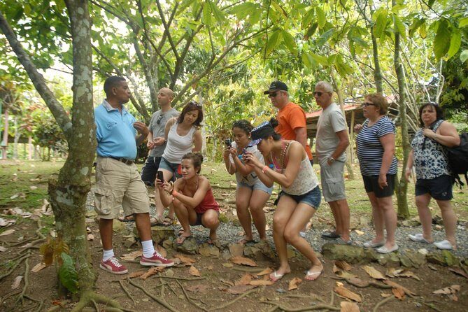 Safari Tour from Punta Cana - What’s Included and How It Works