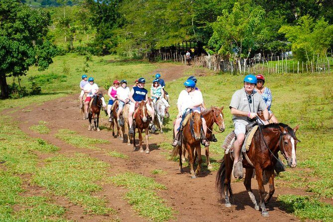 Safari Tour from Punta Cana - Transport and Group Size: Making the Journey Comfortable