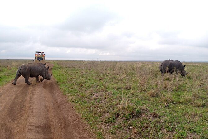 Safari Tour : Nairobi National Park - FAQ