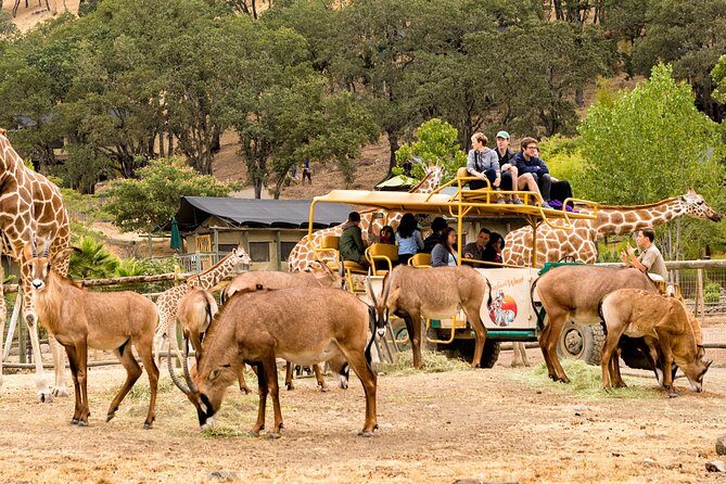 Safari West Sonoma Adventure Tour - Who Will Love Safari West?