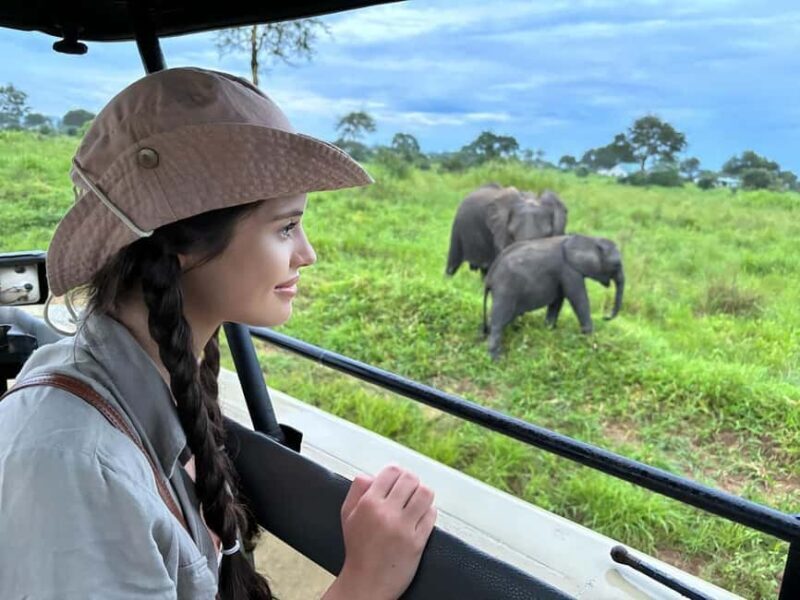 SAFARI WILDLIFE 3 DAYS 2 NIGHT FROM ZANZIBAR TO MIKUMI - FAQs