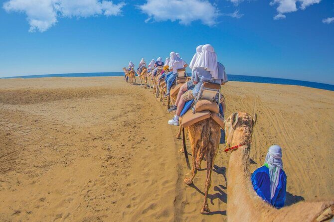 Safari with Camel Caravan to Explore Bajas Nature, Culture and Cuisine - FAQ