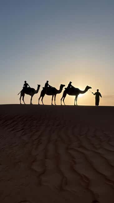 Safari World Zoo and Wahiba Sands with Sunset - What Sets This Tour Apart?