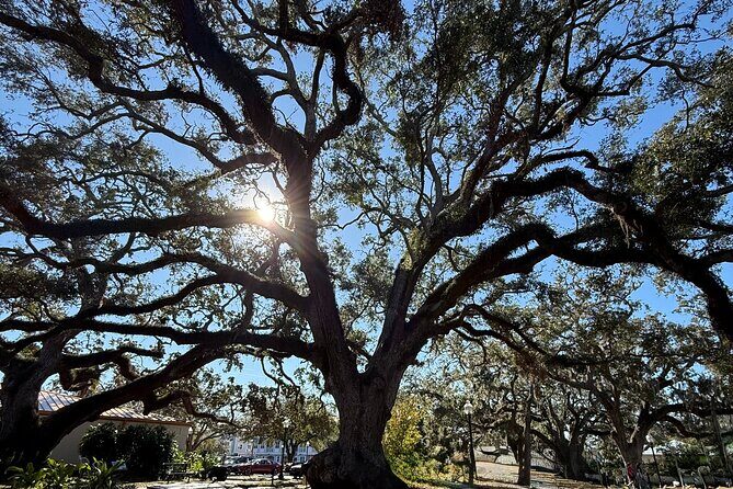 Safety Harbor Food Tour - Who Will Love This Tour?
