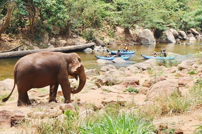 Safety whitewater rafting, Kayak, Quad bike , Trekking in Chiangmai - Final Thoughts