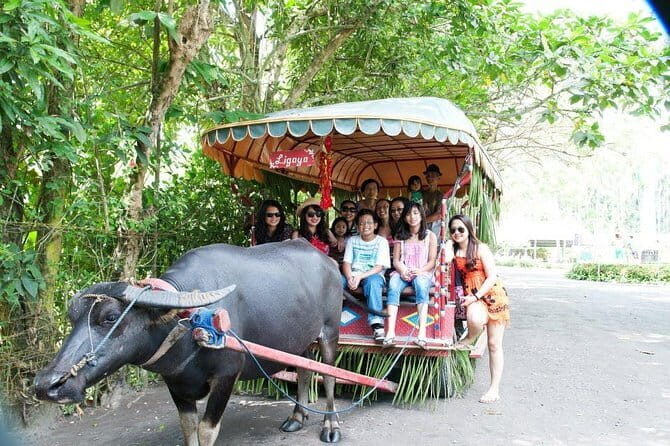 Sagada and Banaue Rice Terraces 4-Day Tour - Who Will Love This Tour?