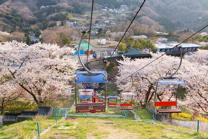 Sagamiko Resort Pleasure Forest Ticket and Ride Pass - In Closing
