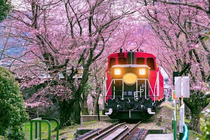 Sagano Romantic Train Ticket - The Scenic Highlights: Why the Views Count