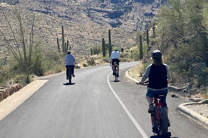 Saguaro National Park East E-Bike Tour - The Value Proposition