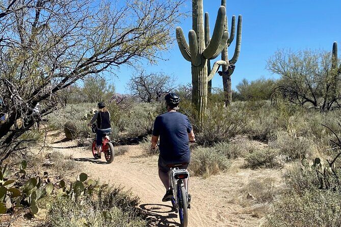 Saguaro National Park East E-Bike Tour - The Sum Up