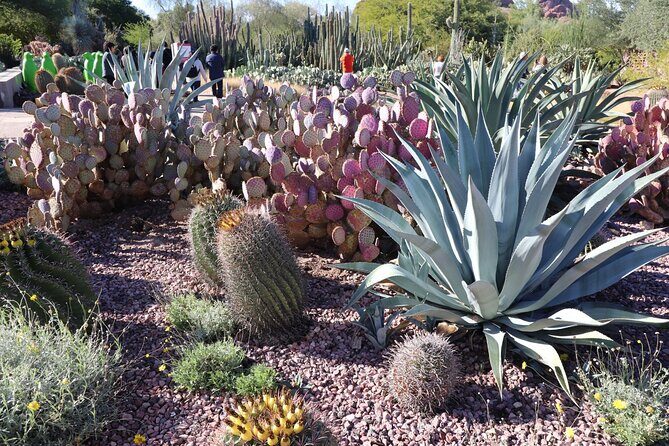 Saguaro National Park Self-Guided Driving Audio Tour - FAQ