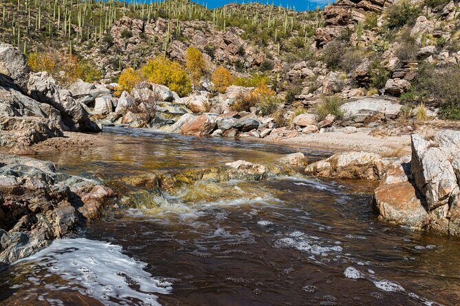 Saguaro NP and Mt. Lemmon Self Guided Driving Audio Tour Bundle - The Sum Up