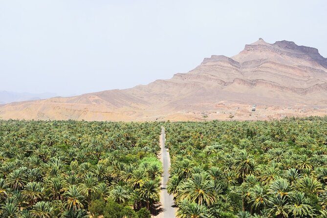 Sahara Adventure in 4 days - What Makes This Tour a Great Deal