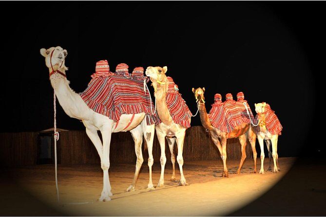 Sahara Arabian Desert Dinner Experience with Transport from Dubai - The Experience as Perceived by Travelers