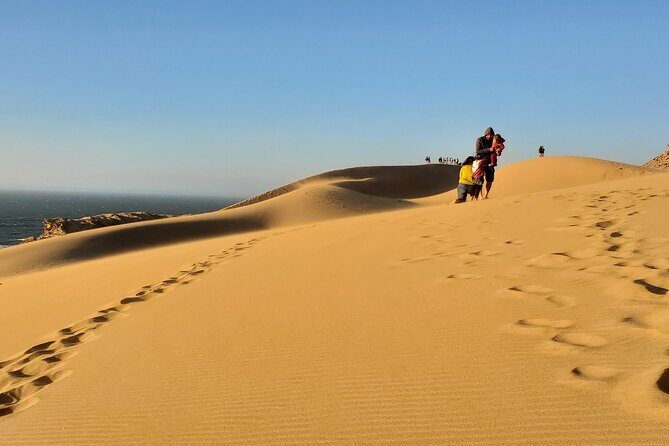 Sahara desert & paradise trip in agadir with lunch and camel ride - Introduction: What to Expect from the Sahara & Paradise Trip from Agadir