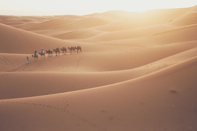 SAHARA DESERT: Shared 3 Day Tour from Marrakech via Dadès Valley - Practicalities and Considerations
